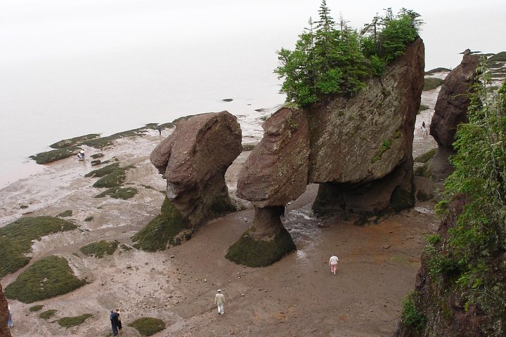 Hopewell Rocks Admission