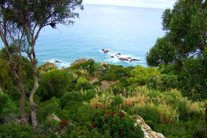 Tangier: Hercules Caves, Cap Spartel & Camel Ride Experience
