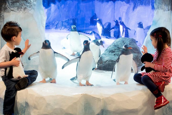SEA LIFE Paris Val d'Europe Aquarium Entry Ticket