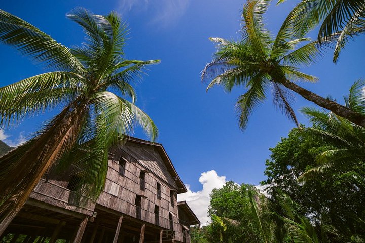 Semenggoh Orangutan Center & Sarawak Cultural Village