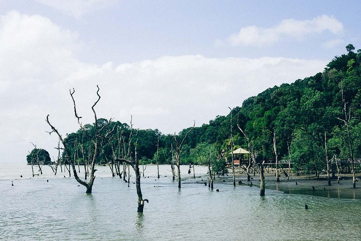Bako National Park from Kuching City