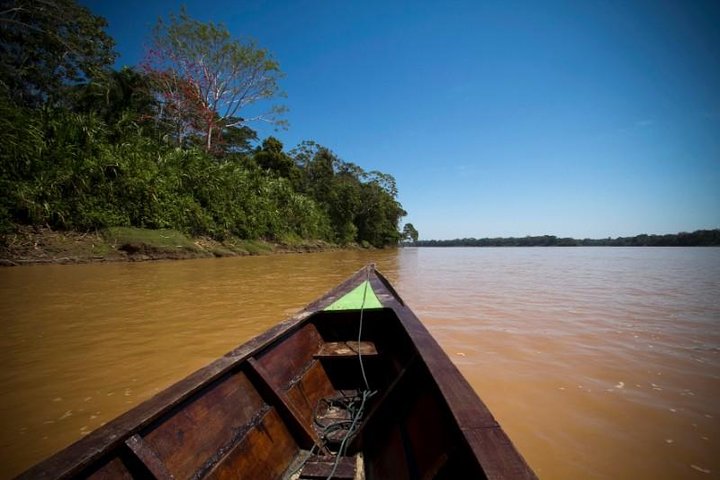 4 Day Tambopata Amazon Wildlife & Canopy Experience