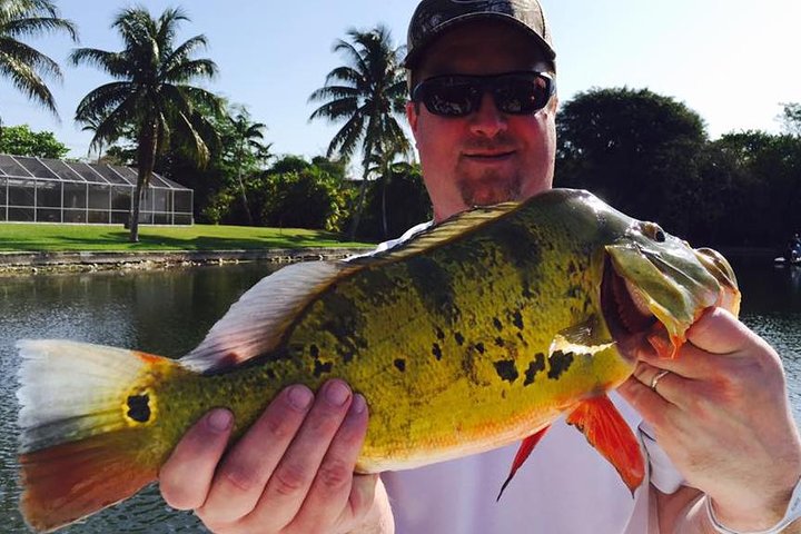 Private Peacock Bass Fishing Charter Near Boca Raton
