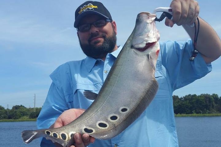 Private Peacock Bass Fishing Charter Near Boca Raton