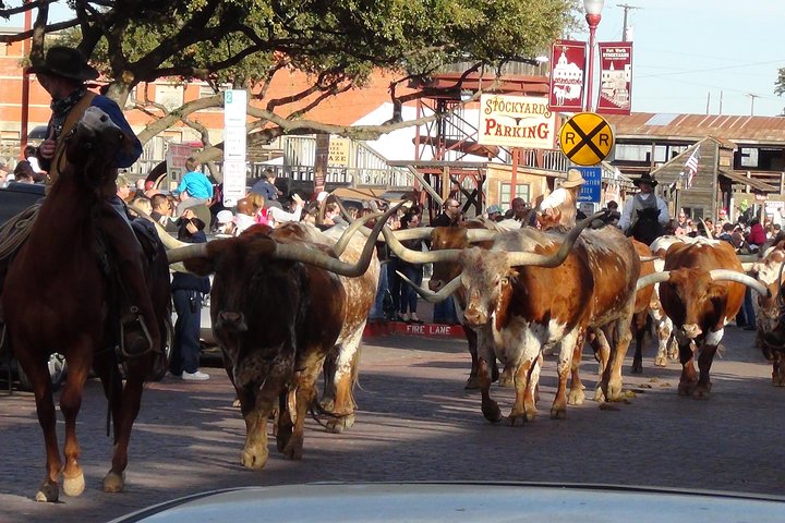 Fort Worth Historical Tour from Dallas Or Fort Worth
