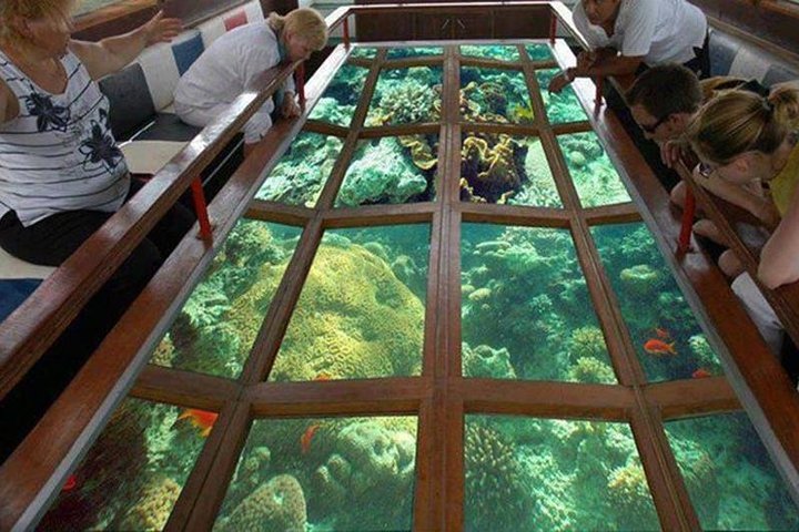 Glass Bottom Boat Trip in Dahab