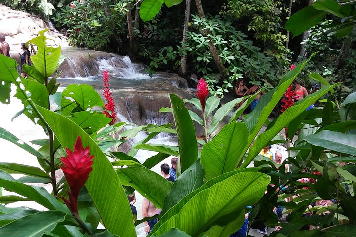 Blue Hole, Secret Falls, and Dunn's River Falls Combo Day-Trip