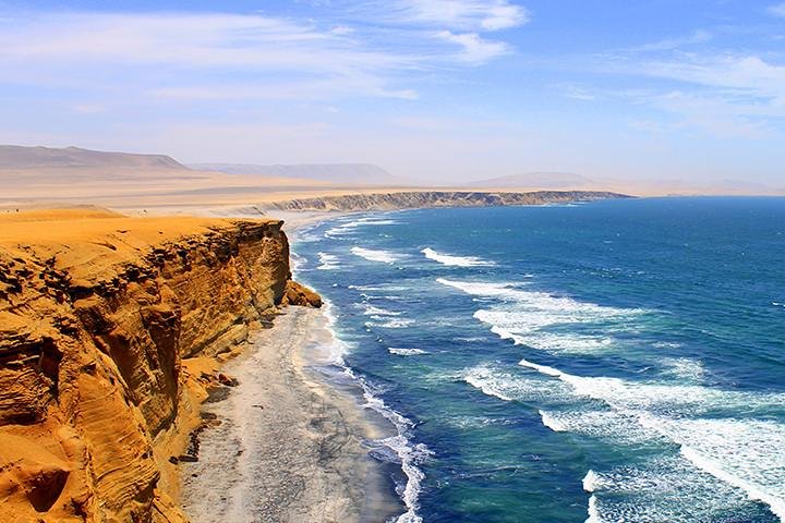 Paracas National Reserve Private Tour from Paracas or Pisco