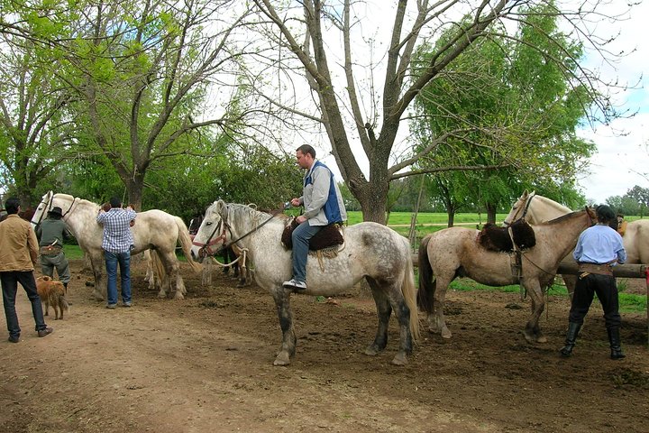 Gaucho Day Tour Ranch at an Estancia from Buenos Aires