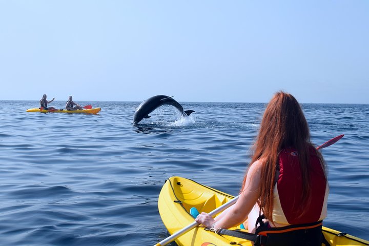 Tenerife: Turtle and Dolphin Kayak Tour with Snorkel and Wetsuit