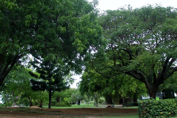 City Tour with Botanical Gardens, Trafalgar Falls & Morne Bruce