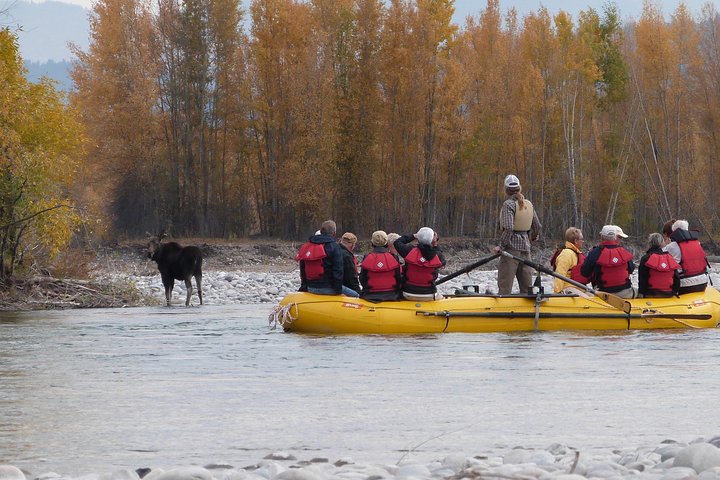 Snake River Scenic Float Trip with Teton Views in Jackson Hole
