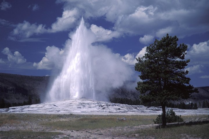 Yellowstone Lower Loop Full-Day Tour