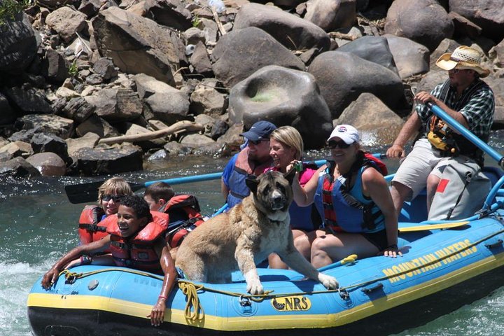 Durango Rafting - Quarter Day Family Friendly Trip