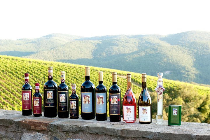 Tour and Tasting at an Organic Winery in the Heart of Chianti Classico Area