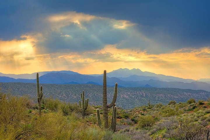 Sedona Off-Road Jeep Tour: Rugged Western Canyons & Wildlife