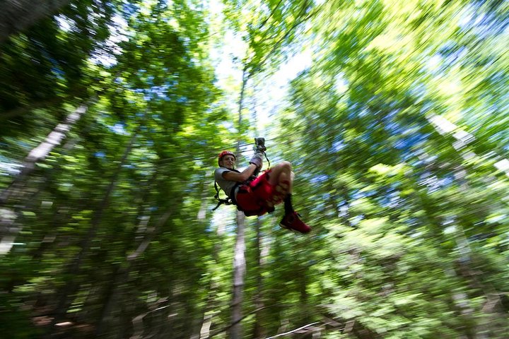 Tree Tops Zip Line Canopy Tour