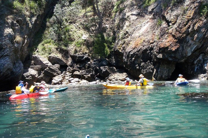 Batemans Bay Glass-Bottom Kayak Tour Over 2 Relaxing Hours