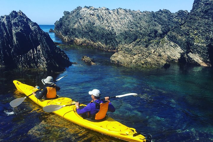 Half Day Sea Kayak Tour from Batemans Bay with Morning Tea