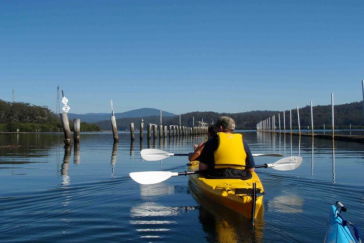 Batemans Bay Oyster Tasting Kayak Tour