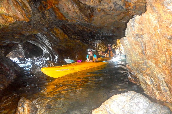 Whale Watching by Sea Kayak in Batemans Bay