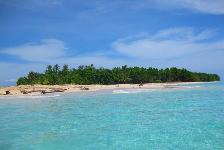 Full-Day Speedboat Tour, Wildlife, and Snorkeling in Bocas del Toro in Panama