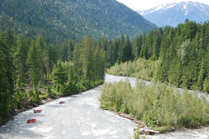 Half-Day Whitewater Rafting in Revelstoke