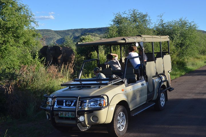 3-Hour Private Game Drive of Pilanesberg National Park
