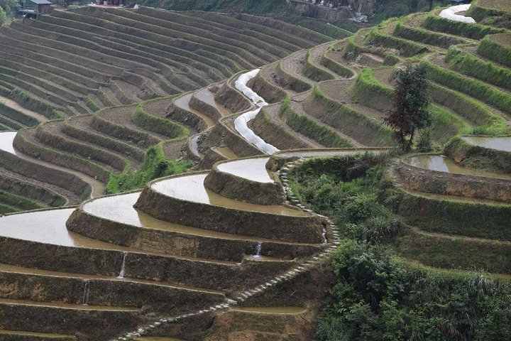 Longji Rice Terraces with the Dazhai Cable Car Private Day Tour