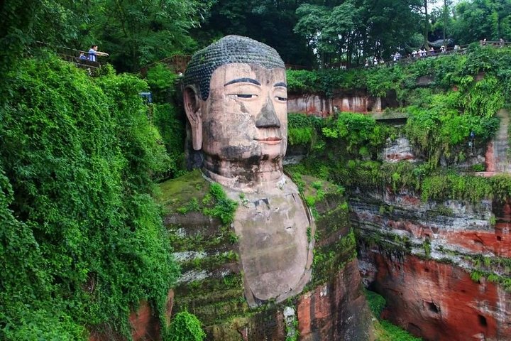 1-Day Chengdu Panda Base and Leshan Giant Buddha Private Tour with the Lunch