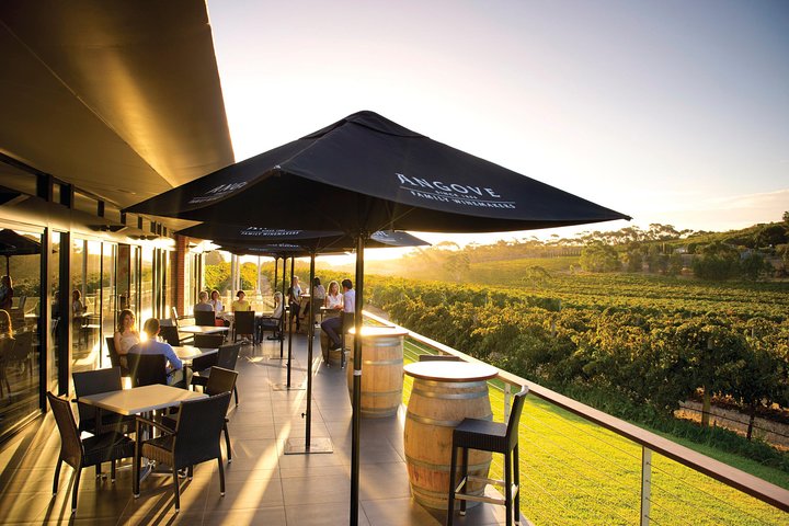 McLaren Vale North Hop-On Hop-Off Wine Tour