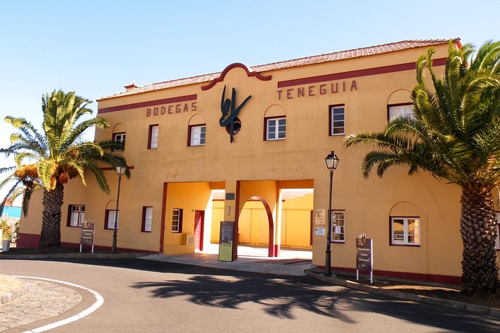 Visit Bodegas Teneguía winery in La Palma with wine Tasting
