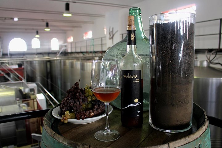 Visit Bodegas Teneguía winery in La Palma with wine Tasting