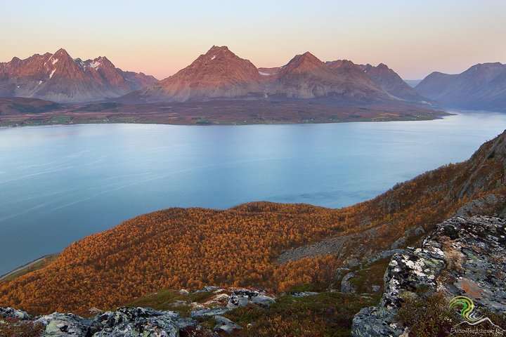 Small-Group Norwegian Fjords Tour from Tromso with Photos