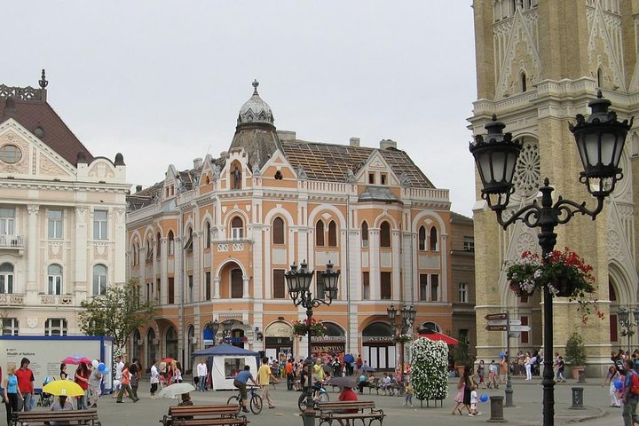 Northern Serbia: Sremski Karlovci and Novi Sad Full-Day Tour from Belgrade