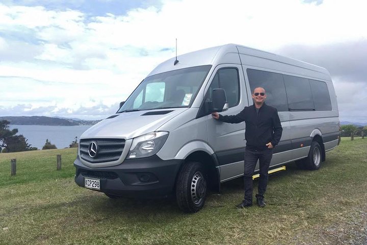 Bay of Islands Glow Worm Caves & Scenic Shore Excursion
