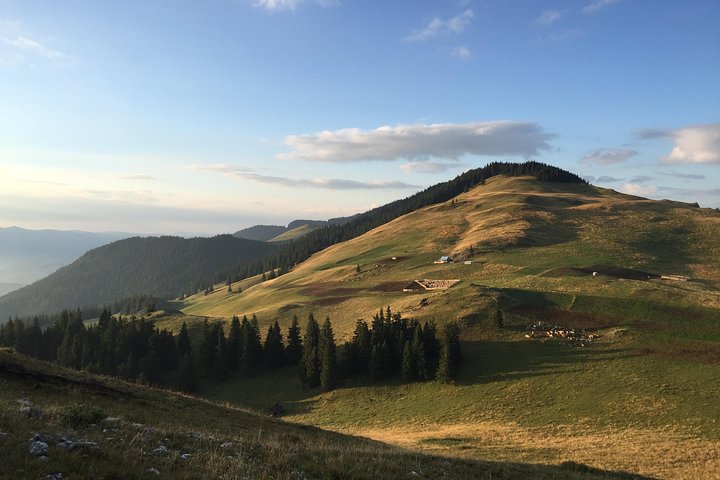 Half-Day 4x4 Tour in the Eastern Carpathians