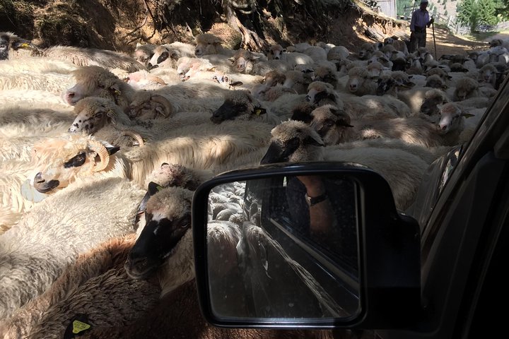 Full Day 4x4 Tour in the Eastern Carpathians