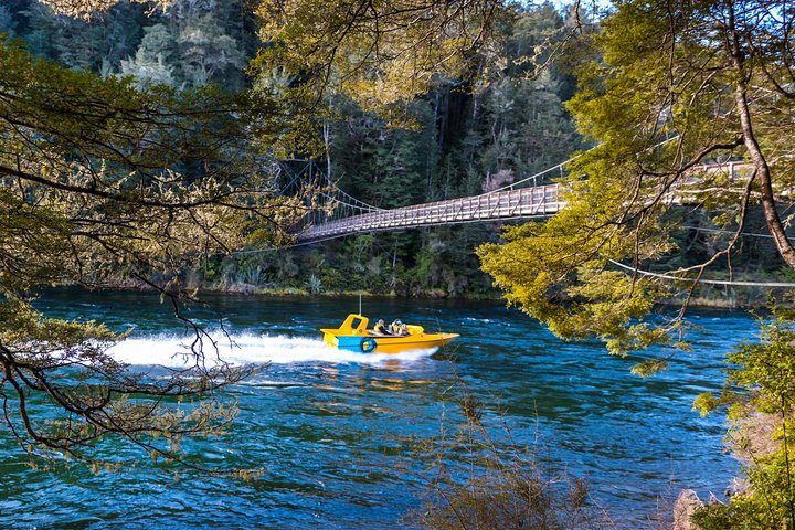 Jet Boat Journey through Fiordland National Park - Pure Wilderness