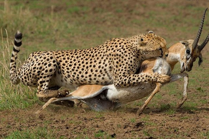 9-Days Discover Kenya Private Safari