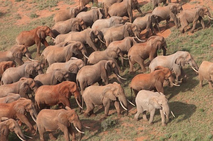9-Days Discover Kenya Private Safari