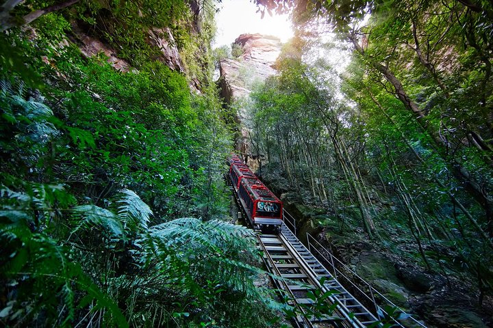 Blue Mountains Day Tour Including Parramatta River Cruise