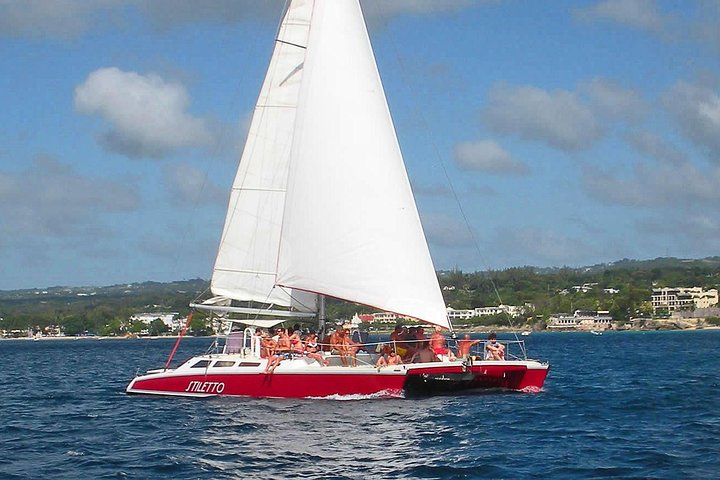 Barbados Catamaran Turtle Snorkel with Lunch and Open Bar