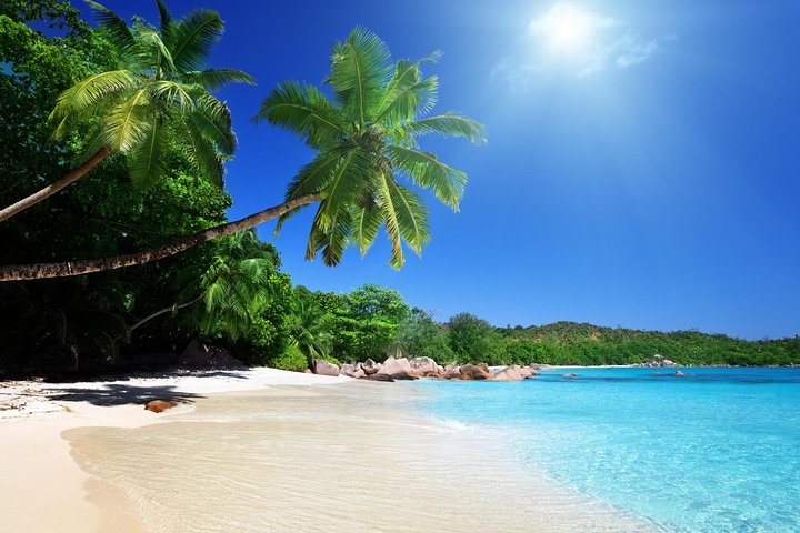 Private Day Trip Cebu to Bohol w/ Chocolate Hills & Loboc Cruise