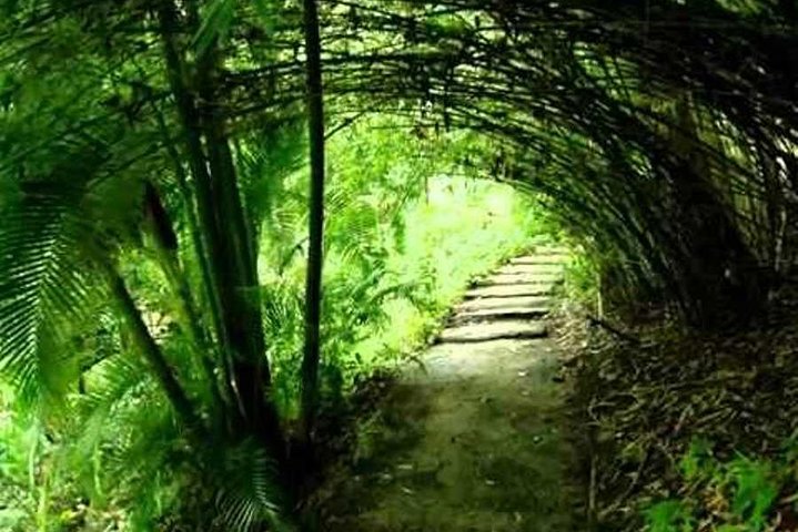 Garden Delight Full-Day Tour in Barbados