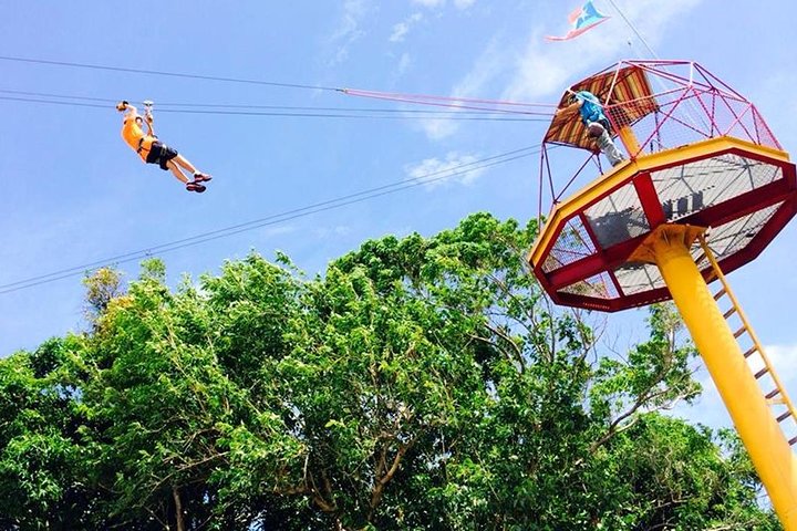 Rainforest Zipline in Foothills of the National Rainforest