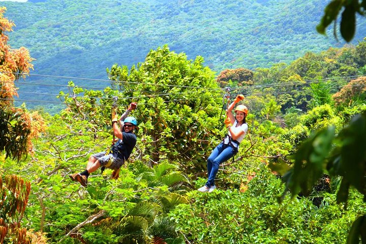 Rainforest Zipline in Foothills of the National Rainforest