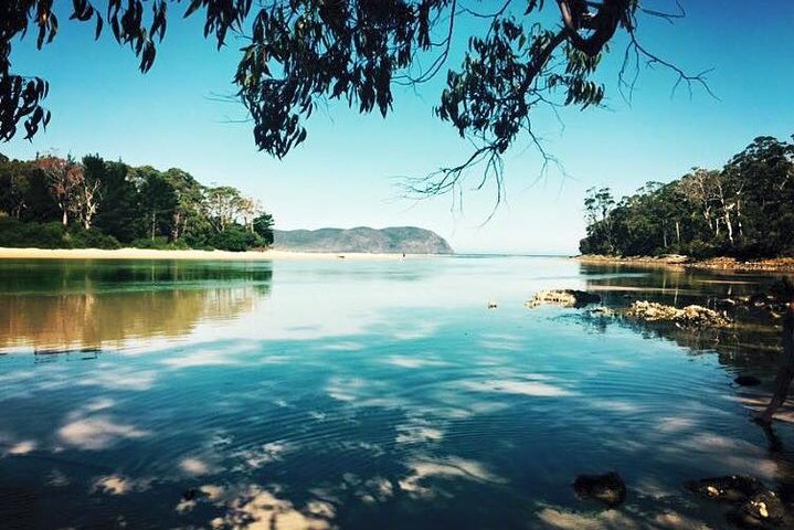 Full-Day Guided Bruny Island Tour from Hobart