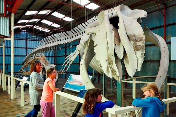 Albany's Historic Whaling Station Admission Ticket