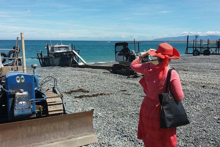 "Pinot to Palliser tour" - Guided tour to Cape Palliser vith lunch + winetasting